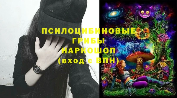 бошки Бронницы