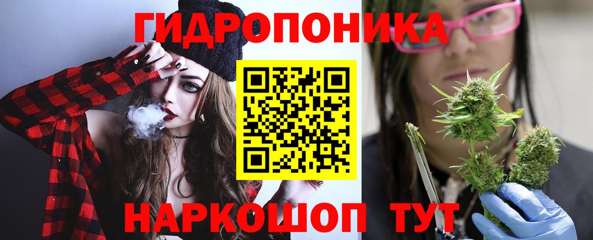 Канабис план Новый Уренгой